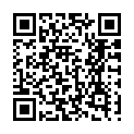 To view this 2009 Audi A3 Plymouth MI from Select Motors, LTD., please scan this QR code with your smartphone or tablet to view the mobile version of this page.