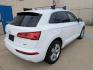2019 White /Black Leather Audi Q5 2.0T Premium Plus quattro (WA1BNAFY4K2) with an 2.0L L4 DOHC 16V engine, 8A transmission, located at 603 Amelia Street, Plymouth, MI, 48170, (734) 459-5520, 42.378841, -83.464546 - Vehicles shown by appointment - Please call ahead - 734-459-5520, text 734-658-4573 or contact us via our web site at: http://www.selectmotors.com for complete Inventory, Photos, Videos and FREE Carfax Reports. 2019 Audi Q5 Quattro Premium Plus, Ibis White with Black leather interior, 70K one own - Photo#6